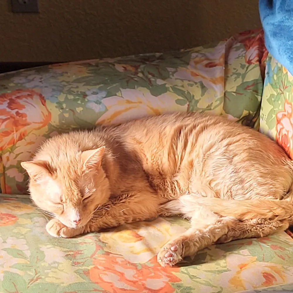 mrslower.bsky.social's profile picture