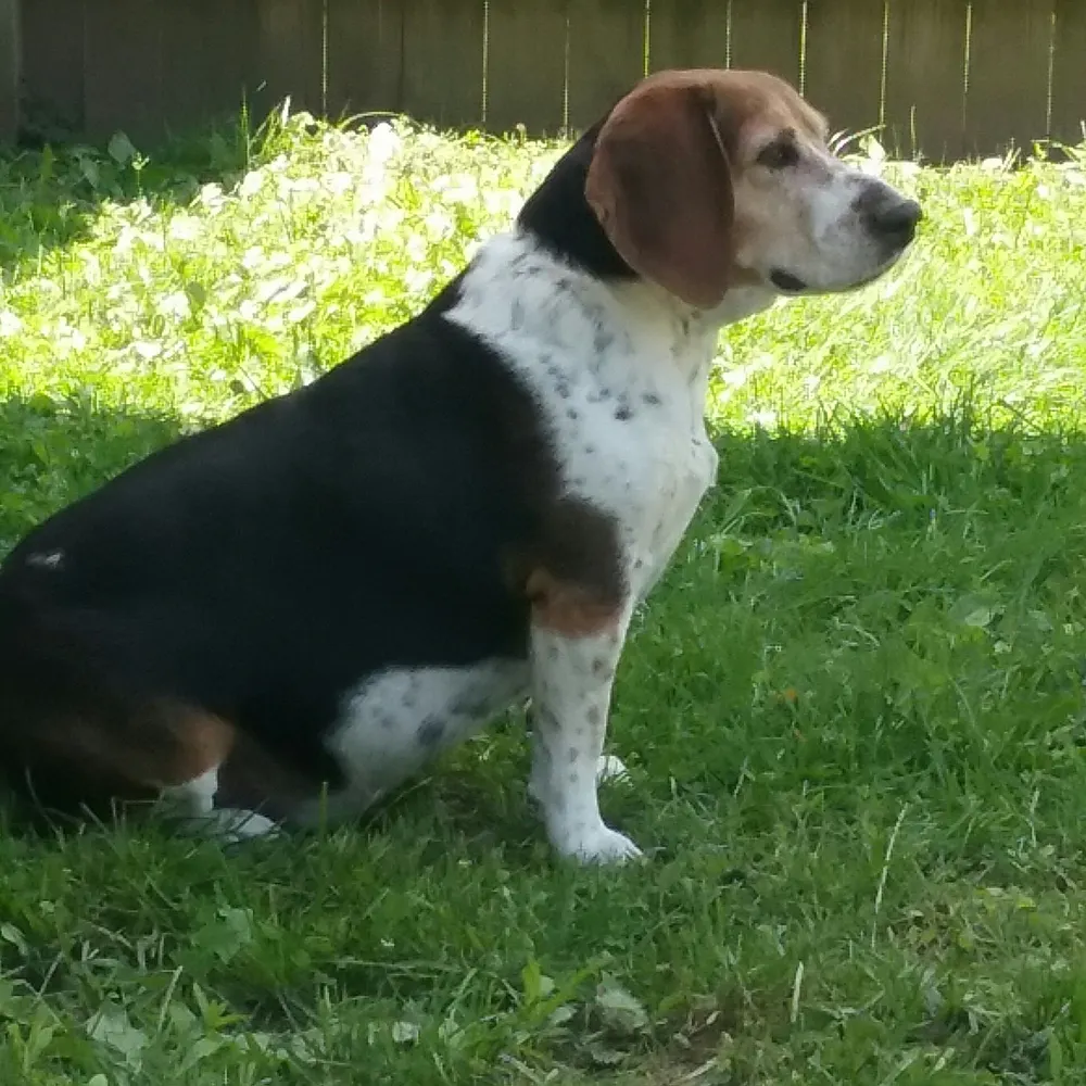 sandihamilton.bsky.social's profile picture