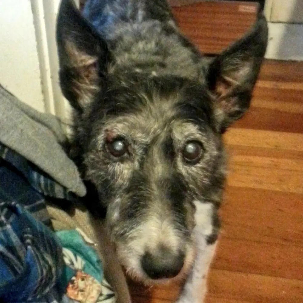 funkypuffin56.bsky.social's profile picture