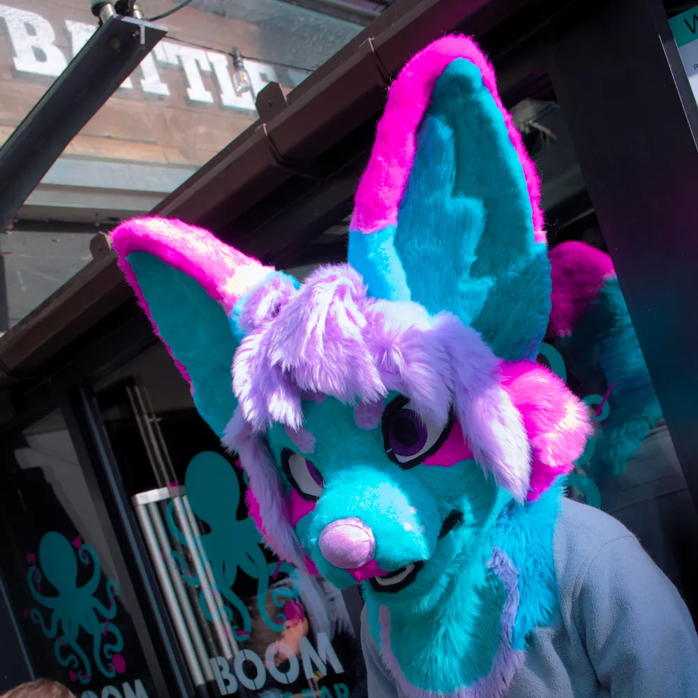 kodawolfdog.bsky.social's profile picture