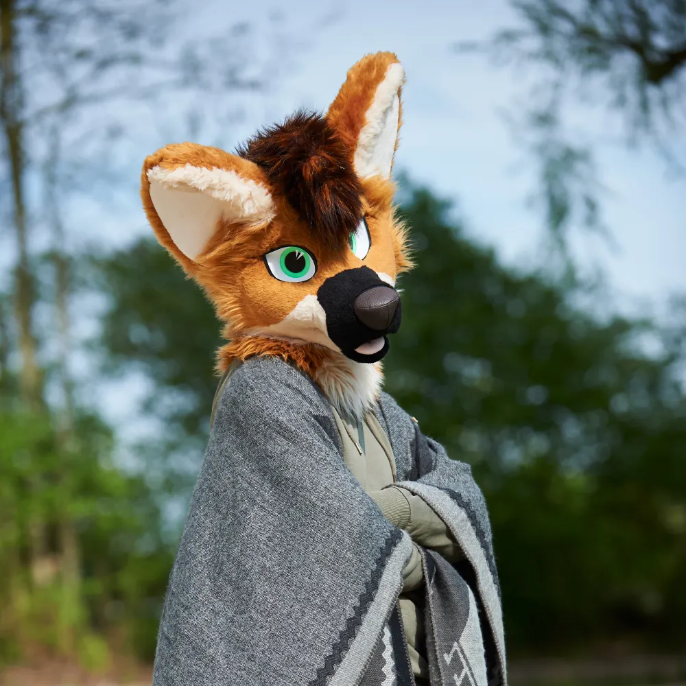 soundwave857.bsky.social's profile picture