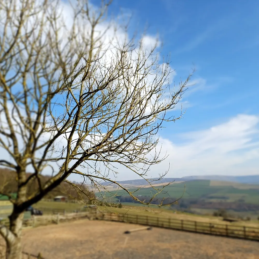 netol64.bsky.social's profile picture