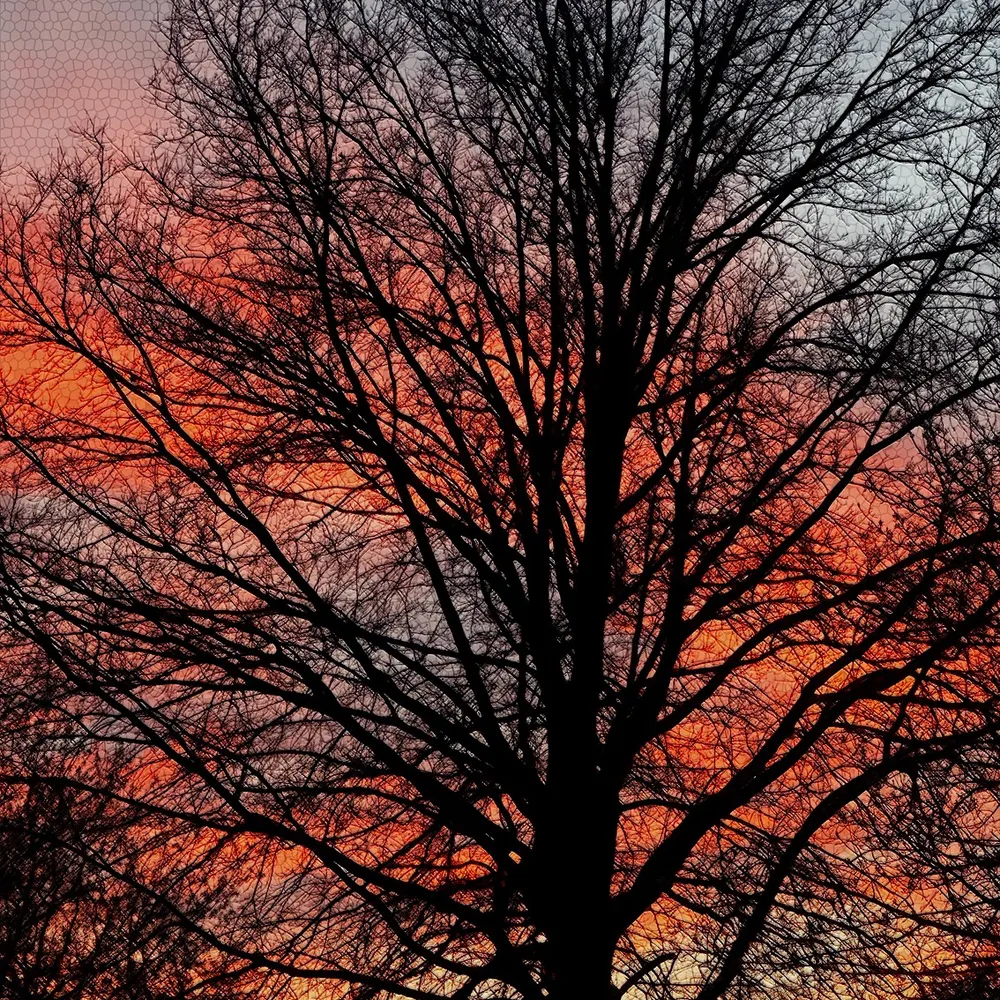 themaj8198.bsky.social's profile picture