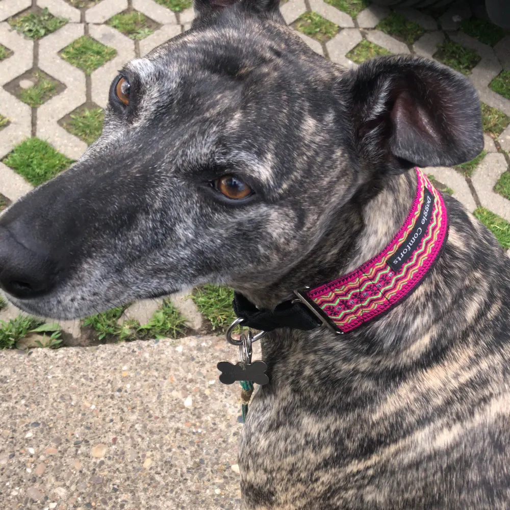 glouise1.bsky.social's profile picture