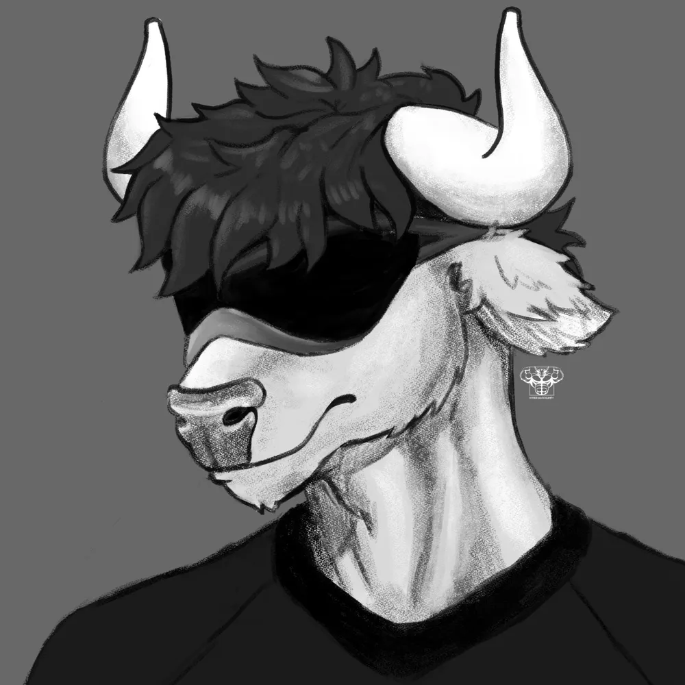 nimathebull.bsky.social's profile picture