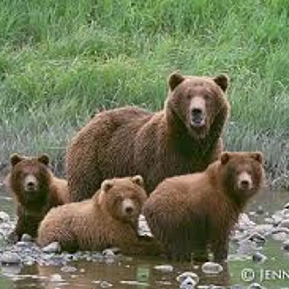 mlorette.bsky.social's profile picture