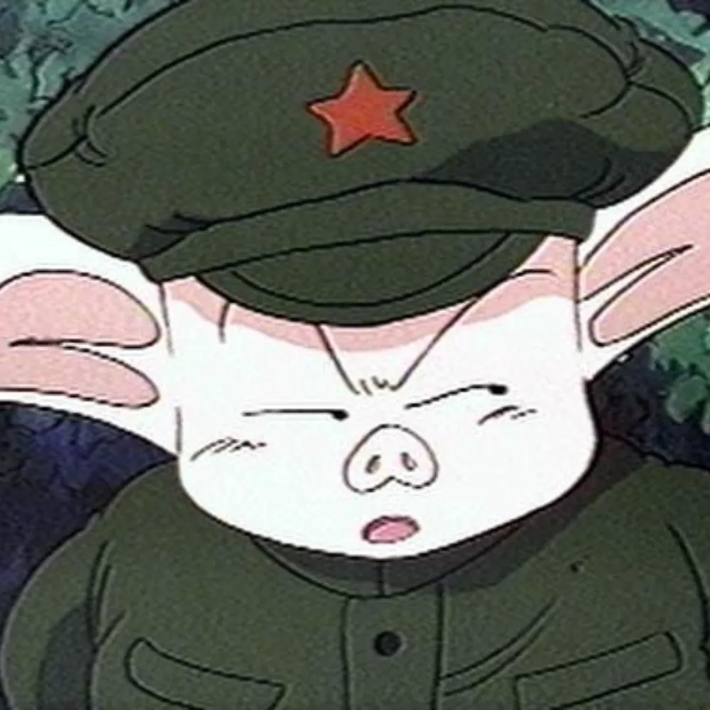 rebeldegorrino.bsky.social's profile picture