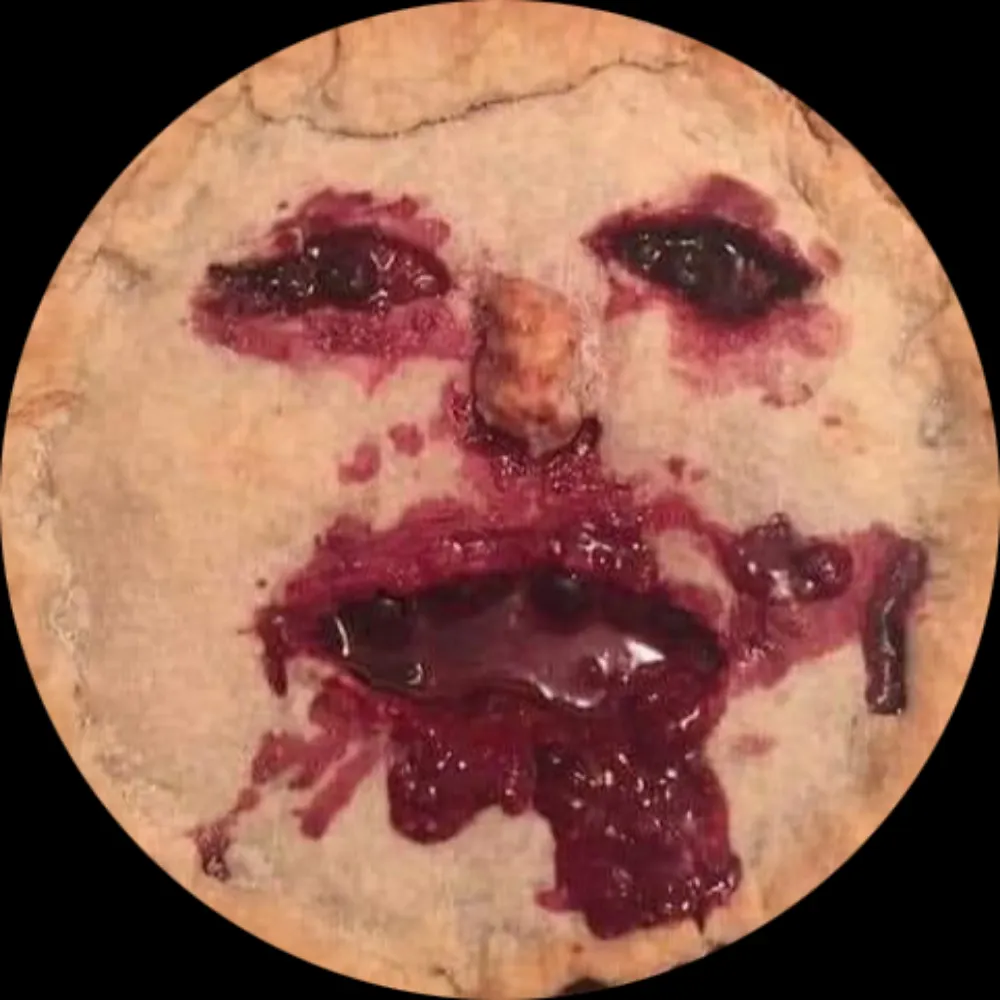 teddybushpig.bsky.social's profile picture