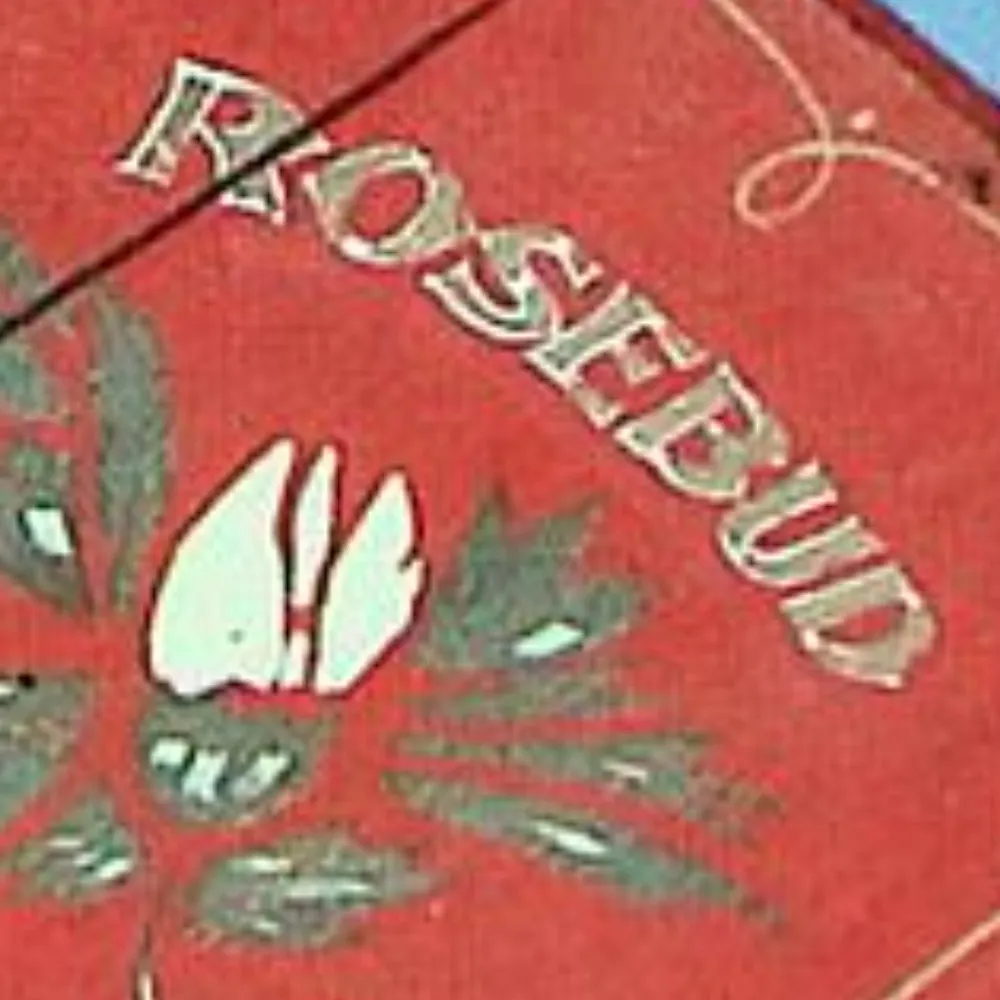 citizenesskane.bsky.social's profile picture