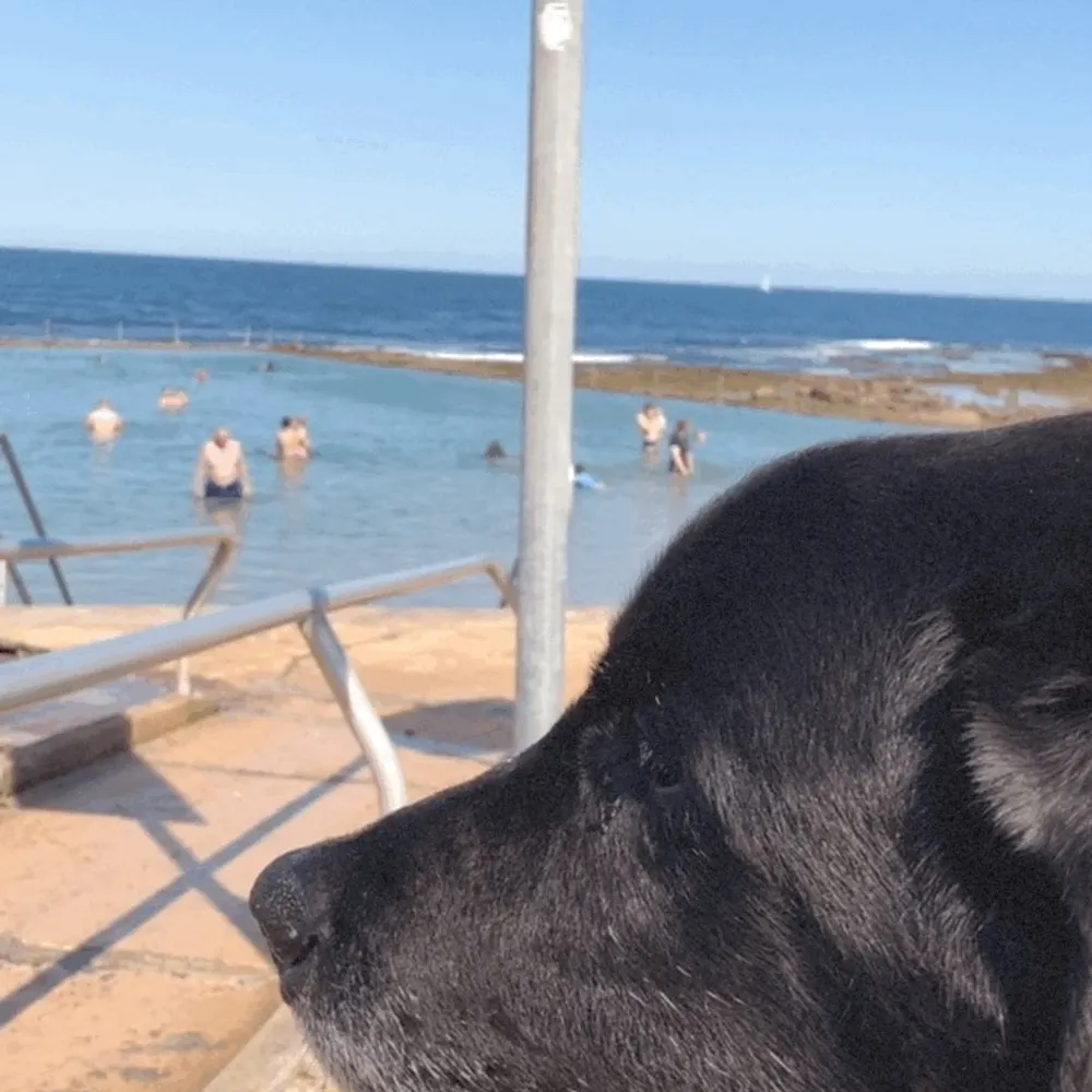 drsally.bsky.social's profile picture