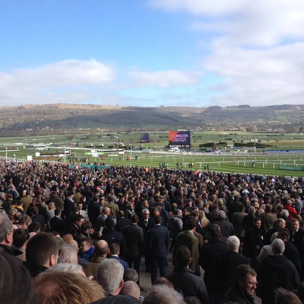 jpmendis.bsky.social's profile picture