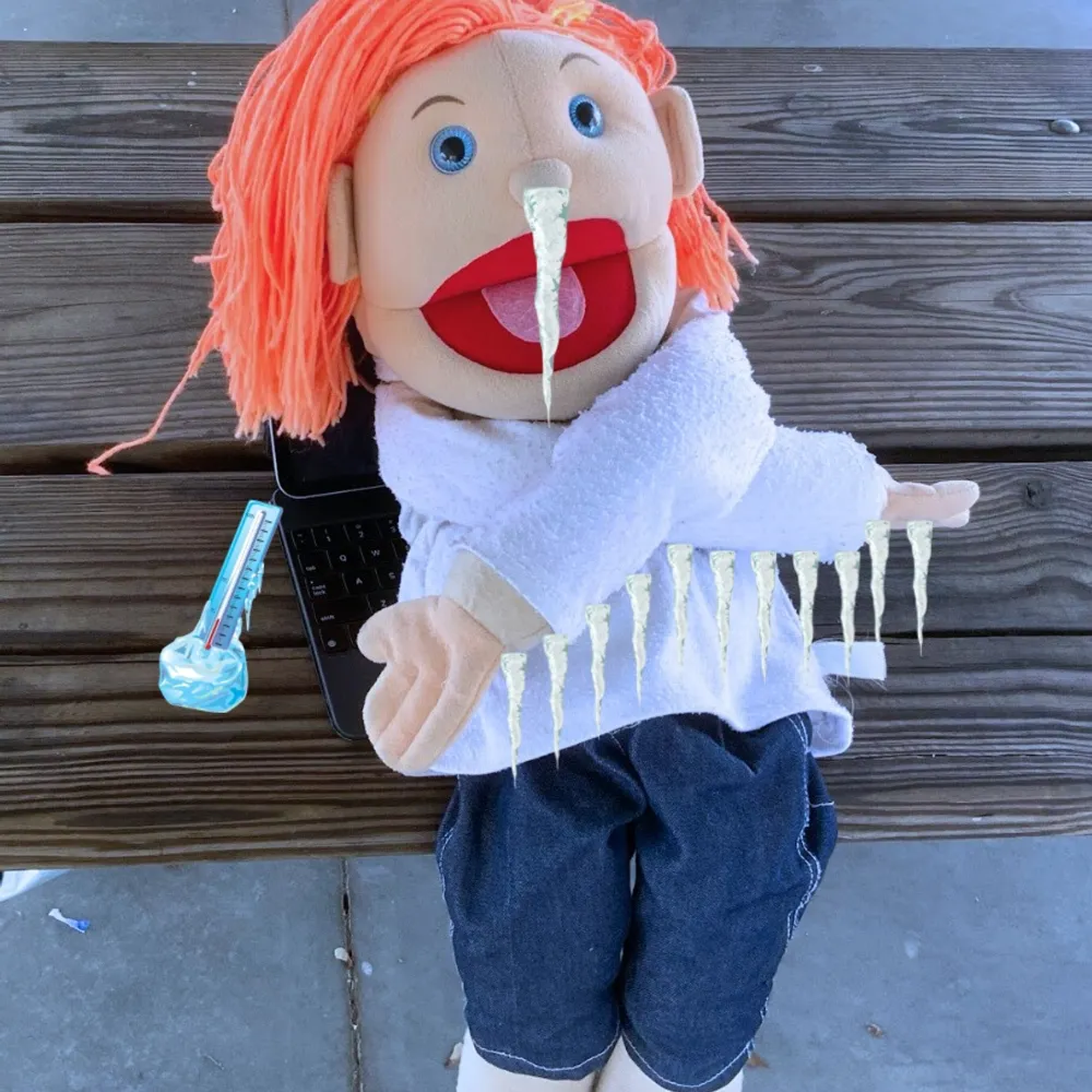 junesandwich.bsky.social's profile picture