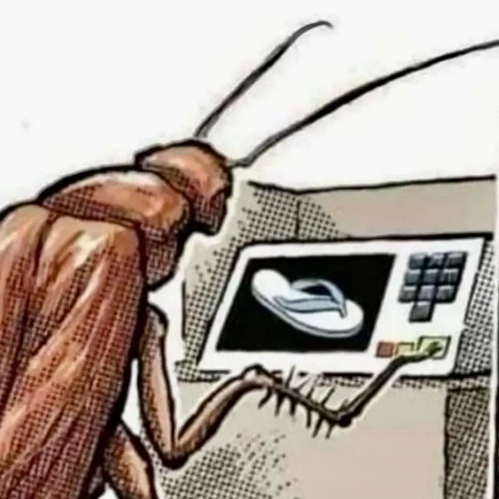 iriscastanho25.bsky.social's profile picture