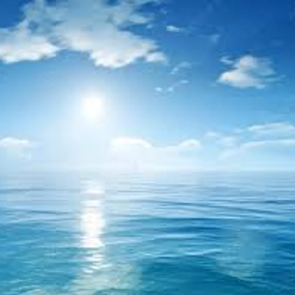 blueskyfanatic.bsky.social's profile picture