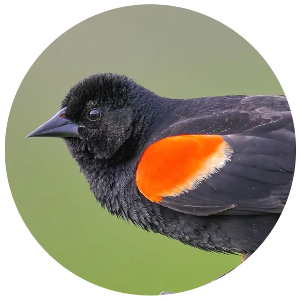 curiouslyclever.bsky.social's profile picture