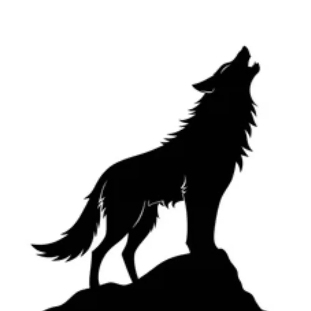 oowooooo.bsky.social's profile picture