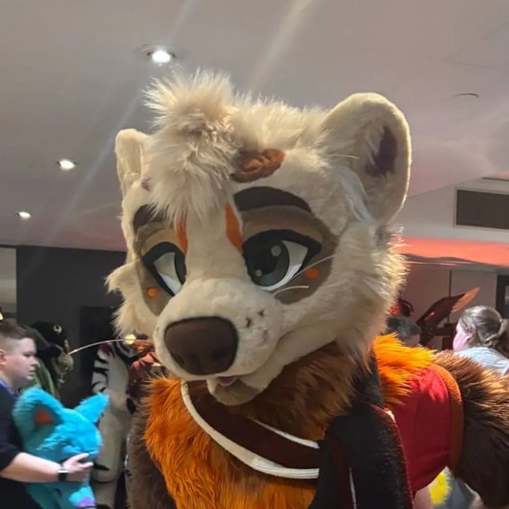 galwynpine.bsky.social's profile picture