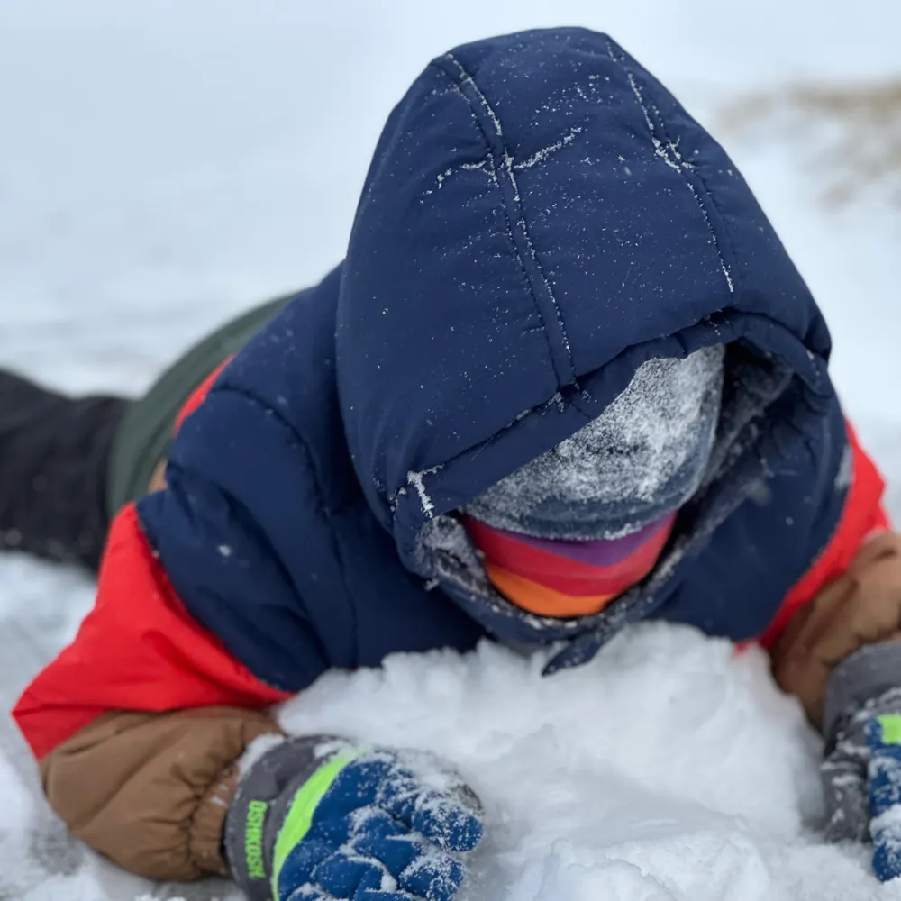 zrink.bsky.social's profile picture