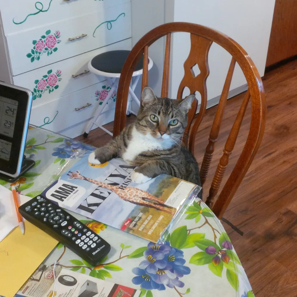 d-cym.bsky.social's profile picture