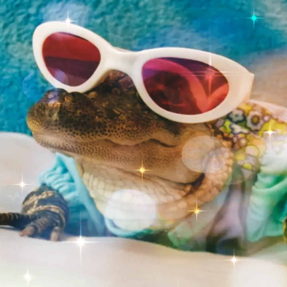 lawngnomesorceress.bsky.social's profile picture