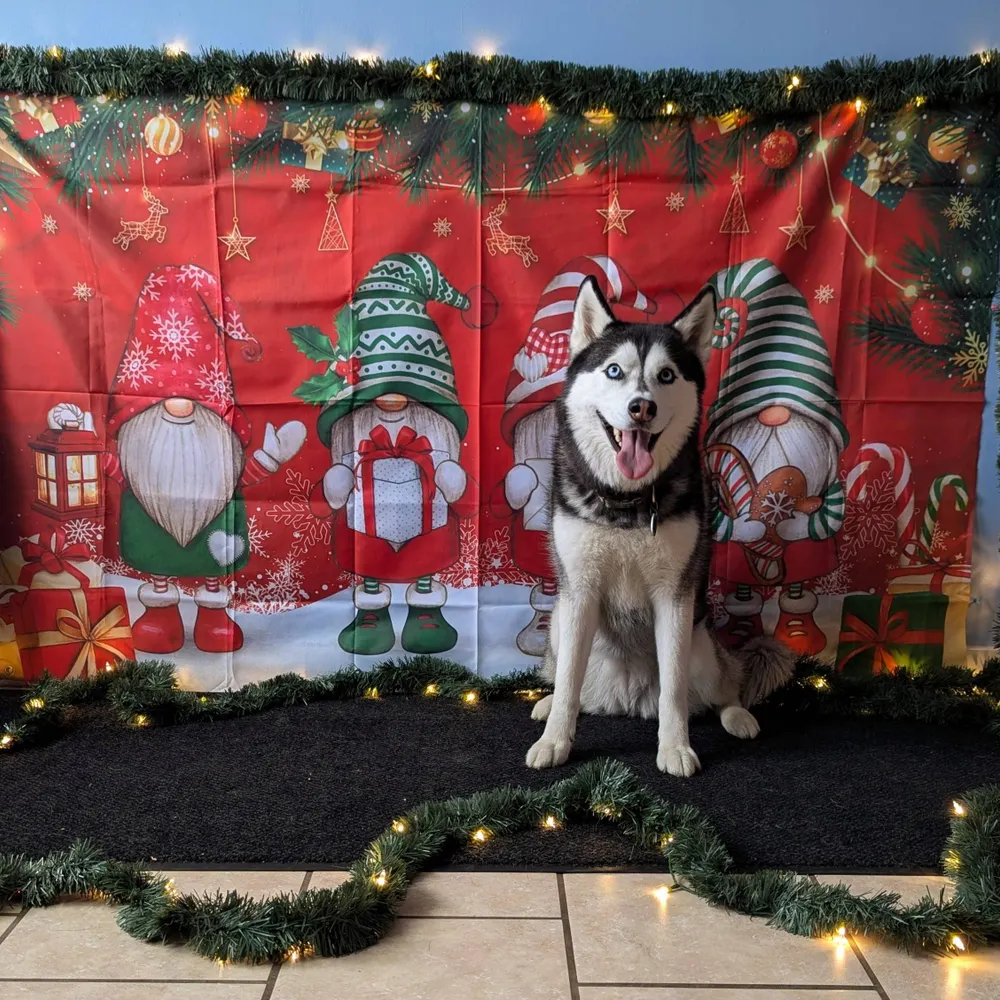 agburanar.bsky.social's profile picture