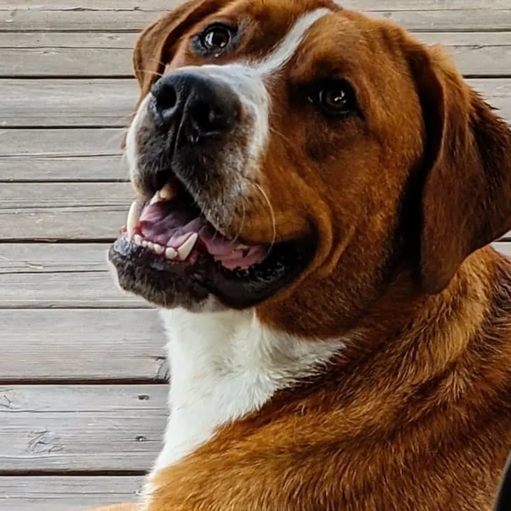 tommyboy66.bsky.social's profile picture