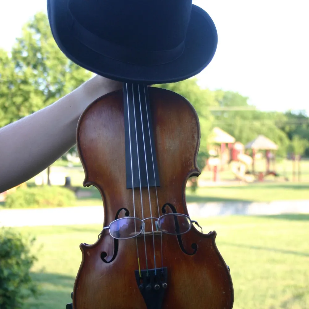 fiddlekat.bsky.social's profile picture