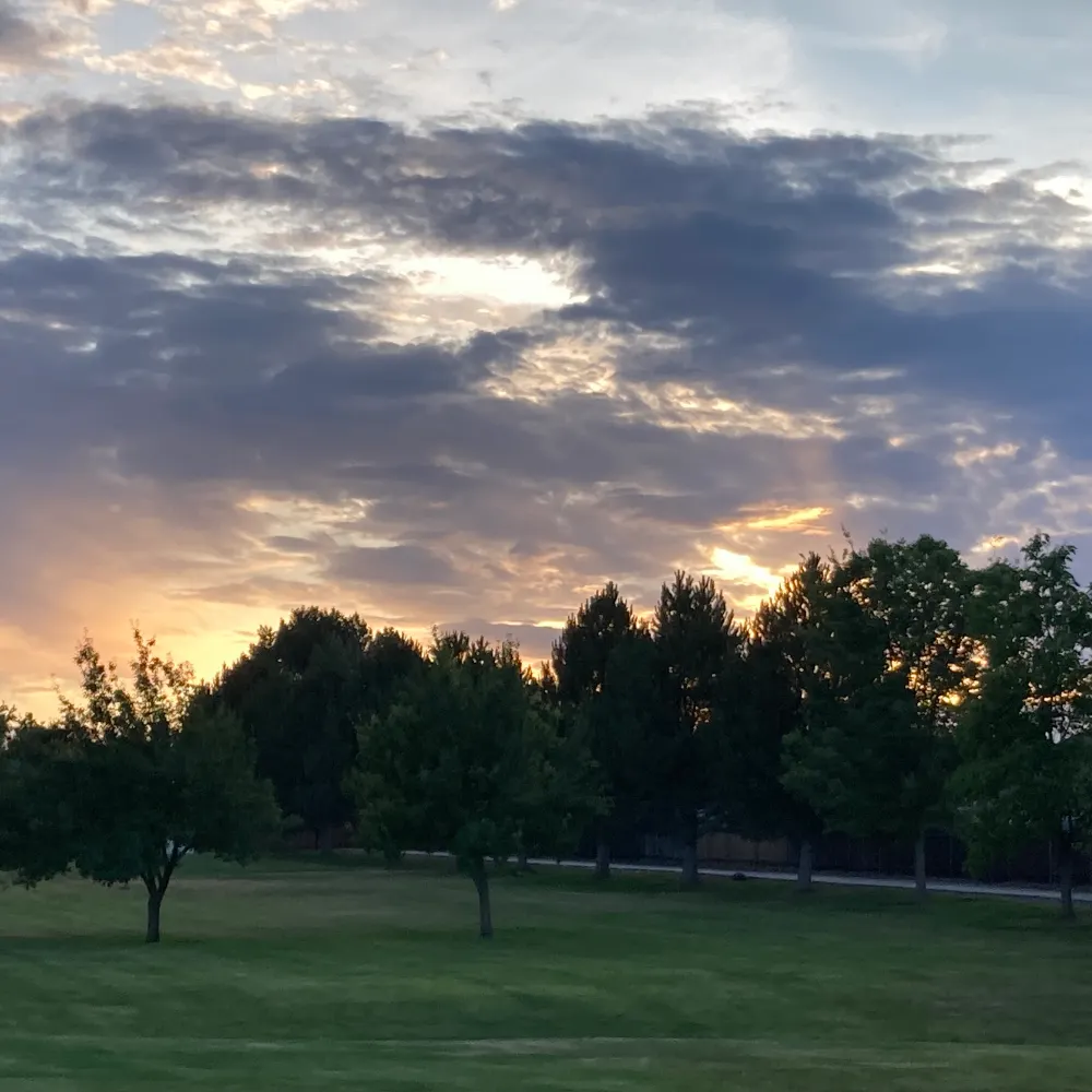 kodalynwolf.bsky.social's profile picture