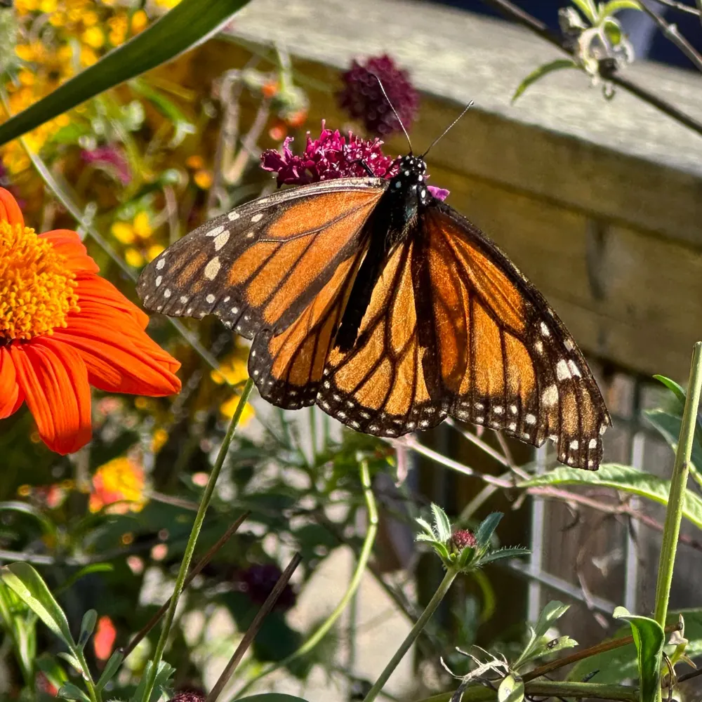 lmhinh.bsky.social's profile picture