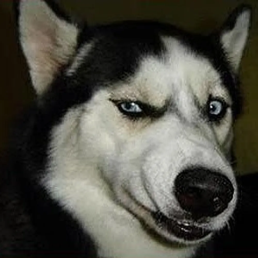 satancucufato.satan.social's profile picture