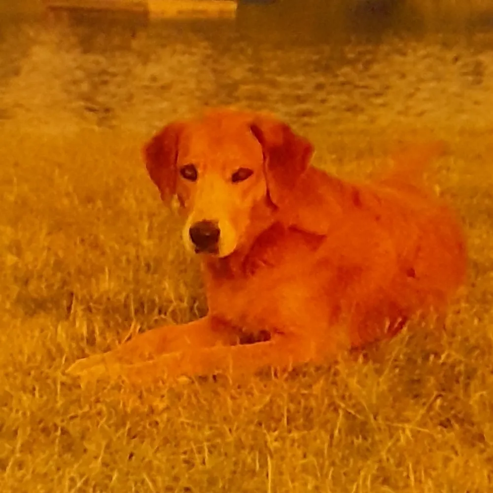 ldoncaster.bsky.social's profile picture