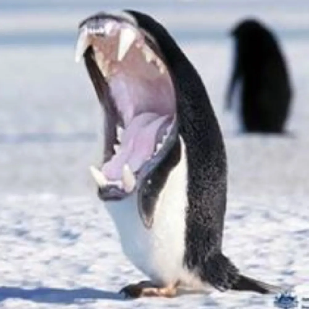 kenburnside.bsky.social's profile picture