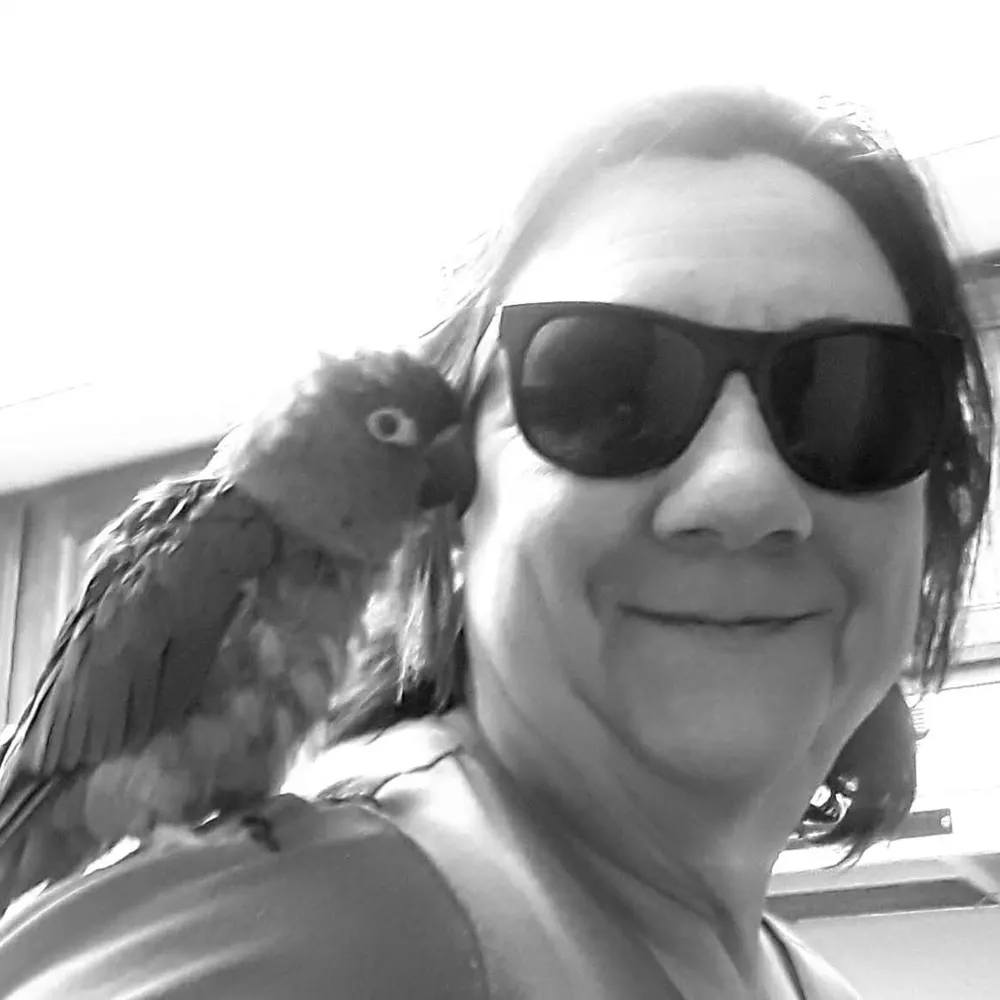 forestcronebears.bsky.social's profile picture