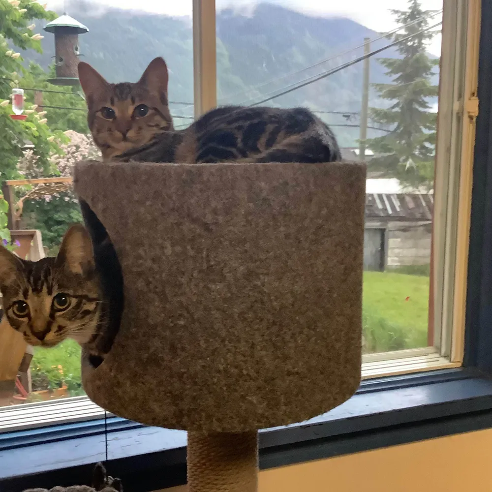 mijabro.bsky.social's profile picture