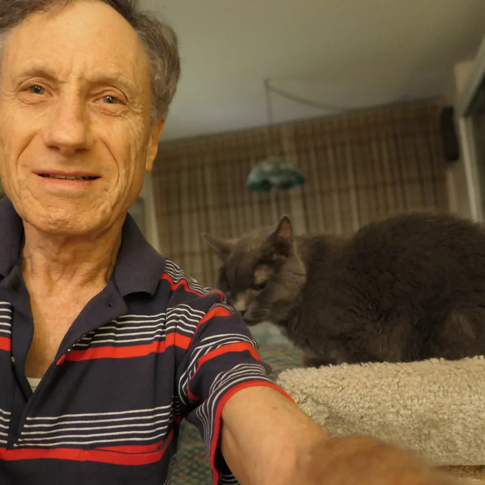 lecat1.bsky.social's profile picture