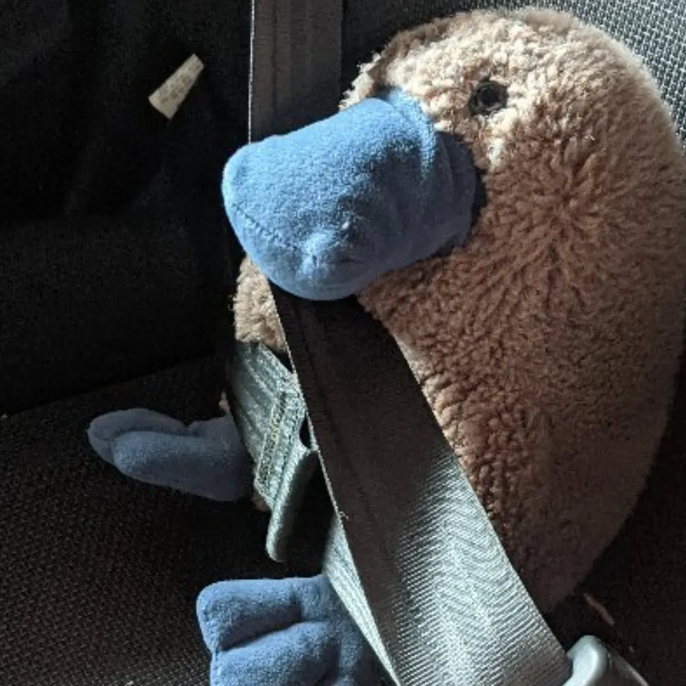 midnightplat.bsky.social's profile picture