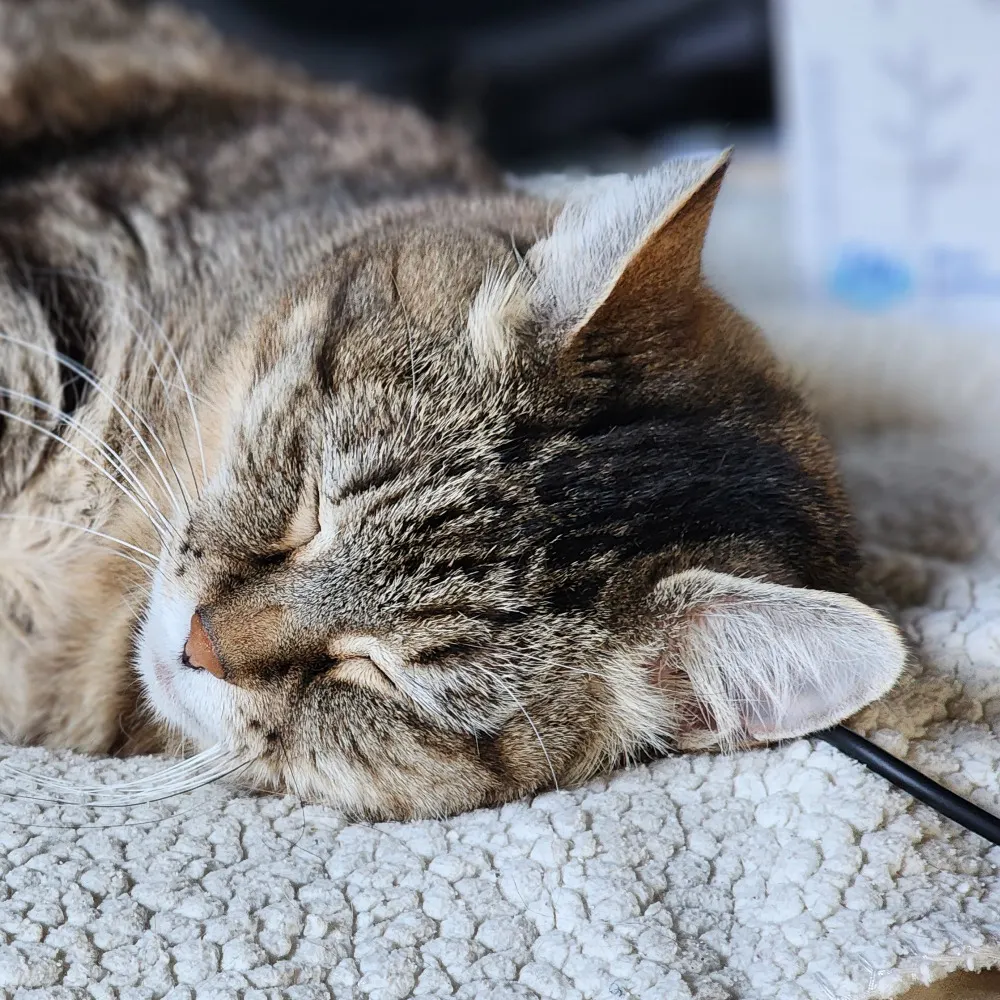 brada.bsky.social's profile picture