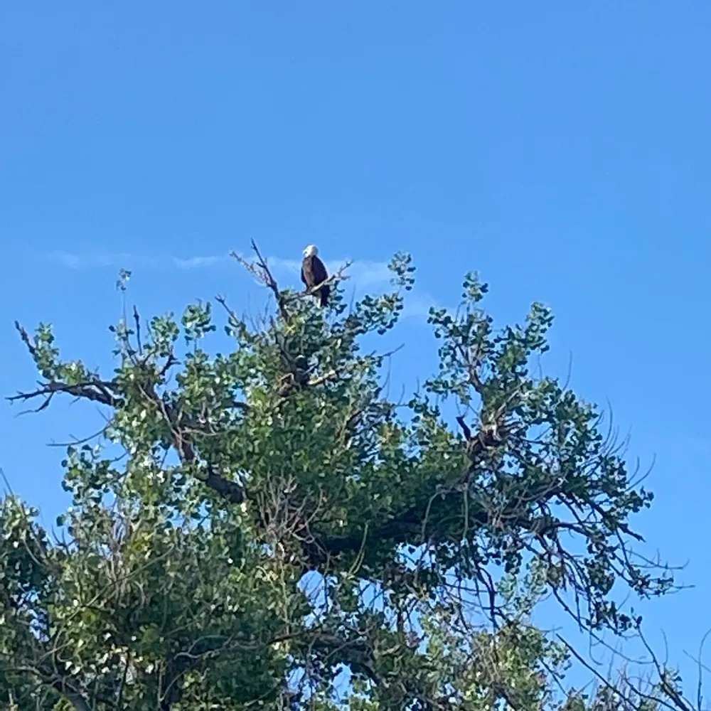 fullerray.bsky.social's profile picture