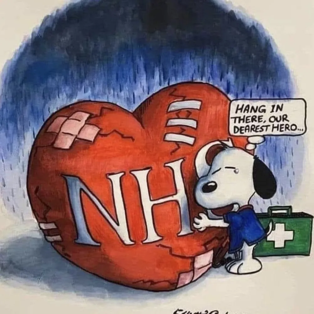 iidomind.bsky.social's profile picture