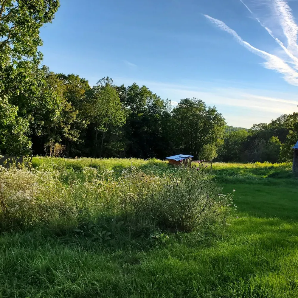 earhart.bsky.social's profile picture