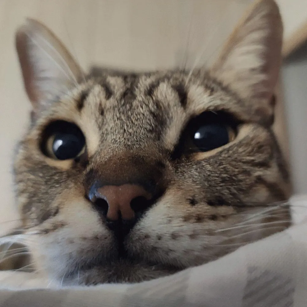 landru79.bsky.social's profile picture