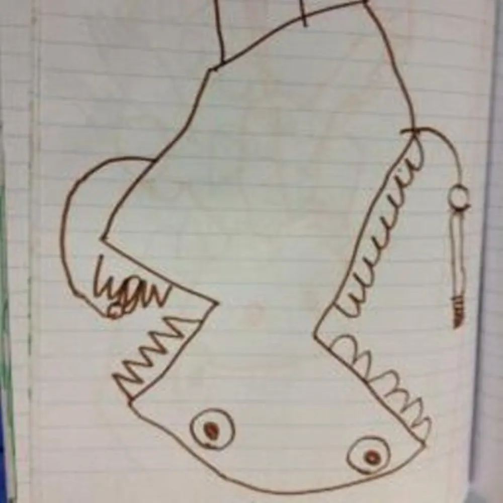 bikemogacz.bsky.social's profile picture