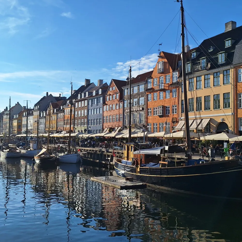 micuentabsky.bsky.social's profile picture