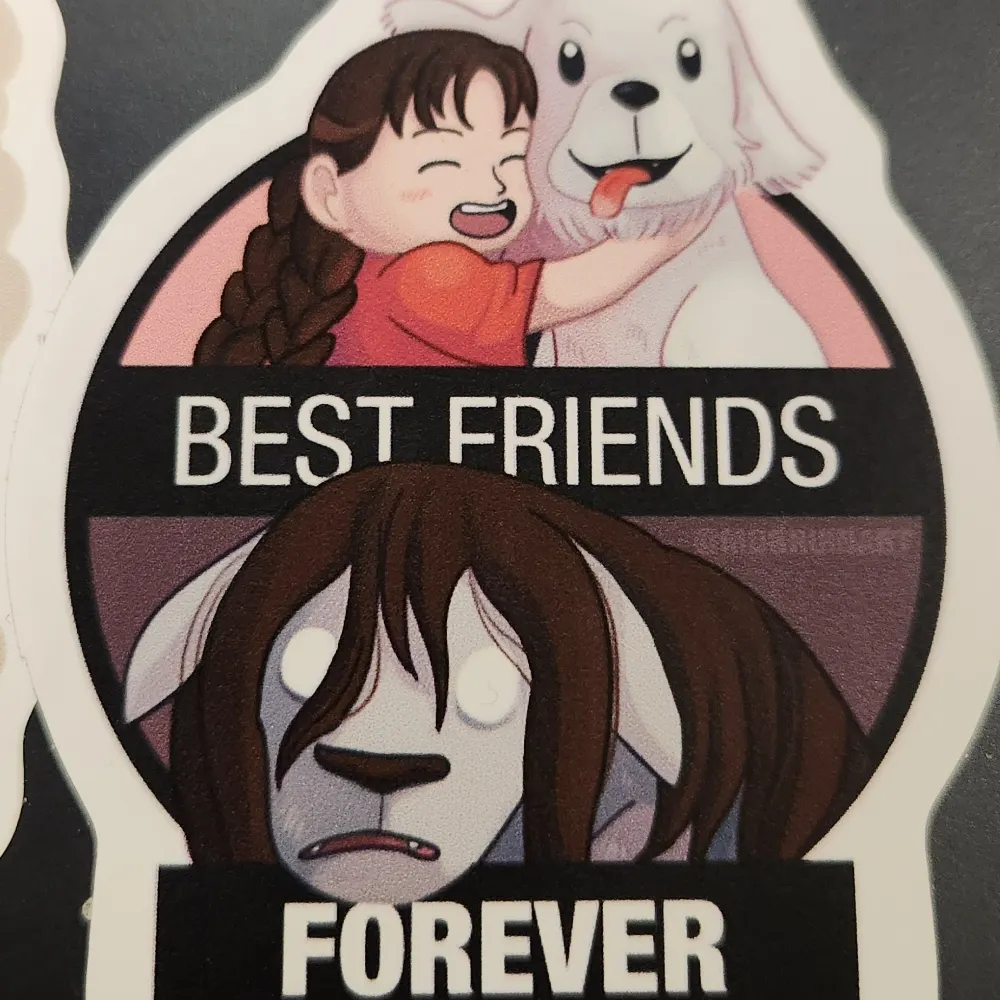 irurucece.bsky.social's profile picture