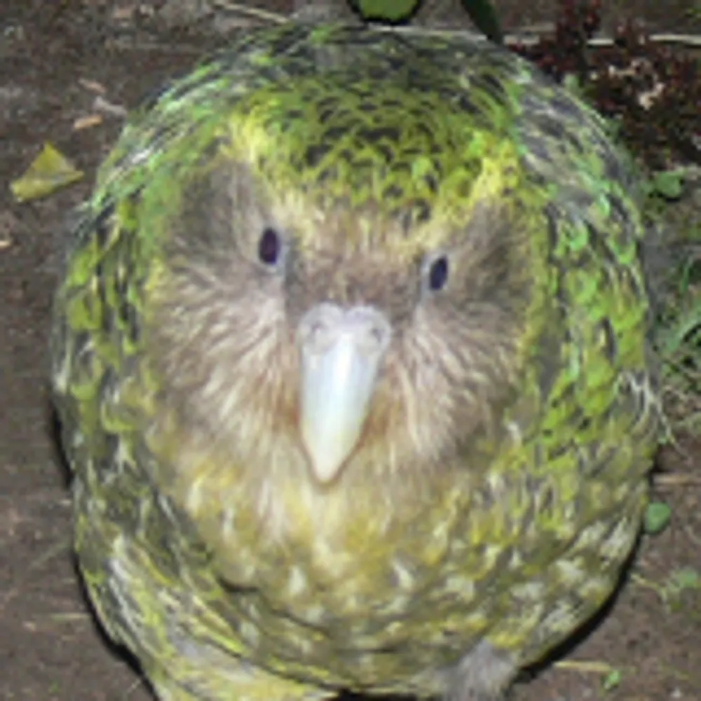 claghorn.bsky.social's profile picture