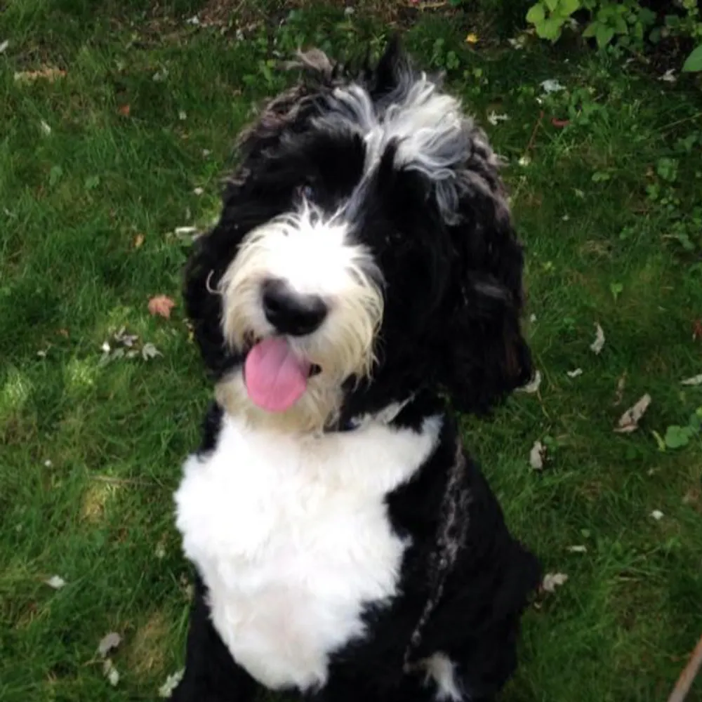 noakesington.bsky.social's profile picture