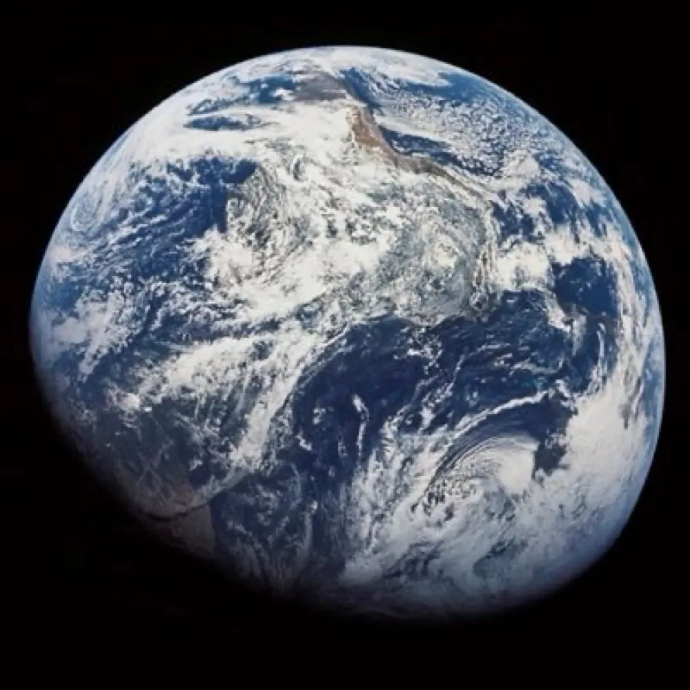 wbmft.bsky.social's profile picture