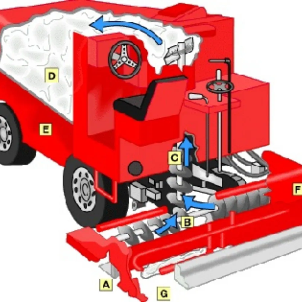 xanboni.bsky.social's profile picture