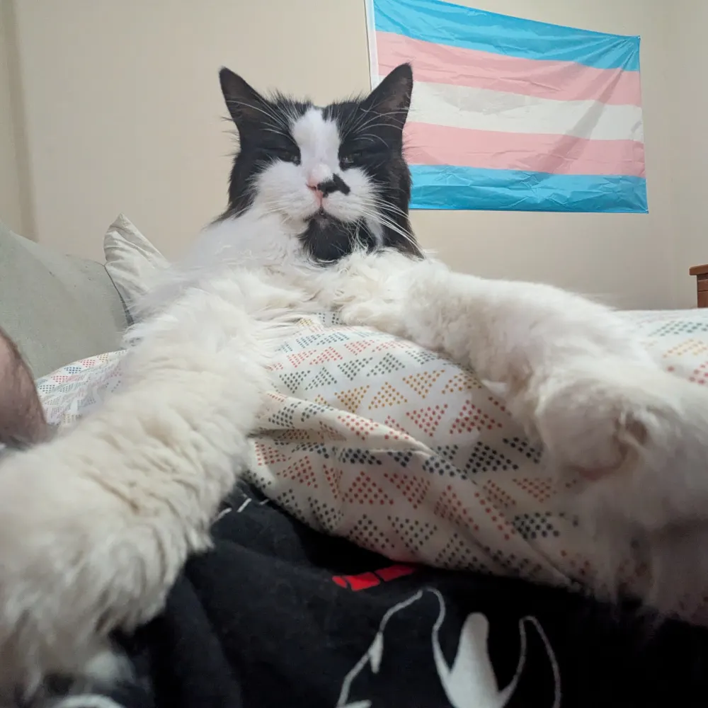 fem-wannabe.bsky.social's profile picture