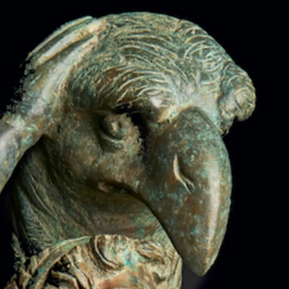 coqsolay.bsky.social's profile picture